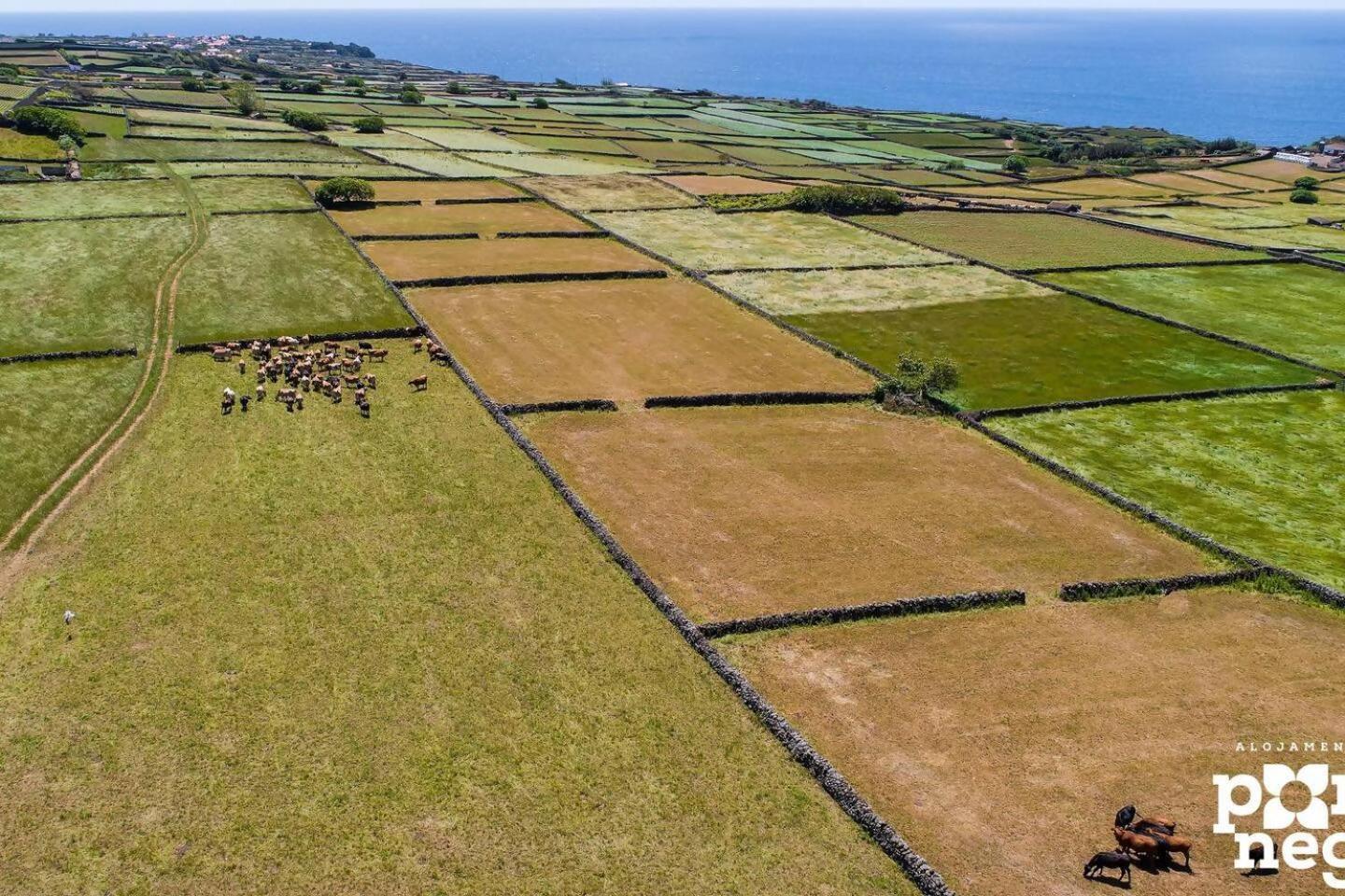 Recanto Das 5 By Pontanegraazores Cinco Ribeiras ภายนอก รูปภาพ